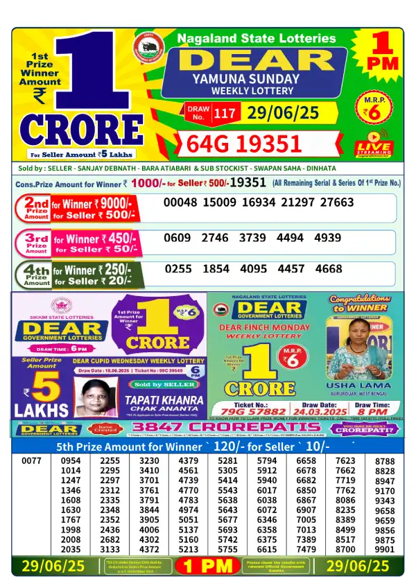 Dear Stork 1 PM Lottery Result – 29 June 2025